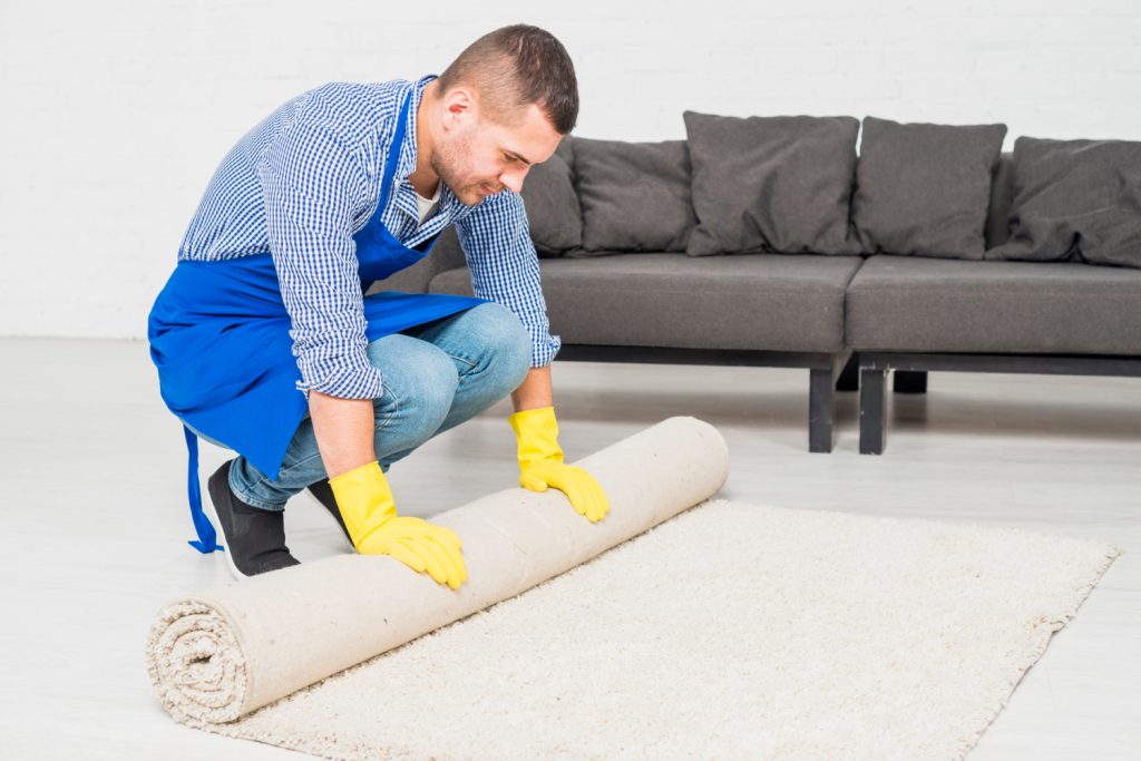 Carpet Cleaning Services