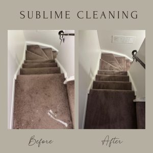 Clean Carpeted Stairs