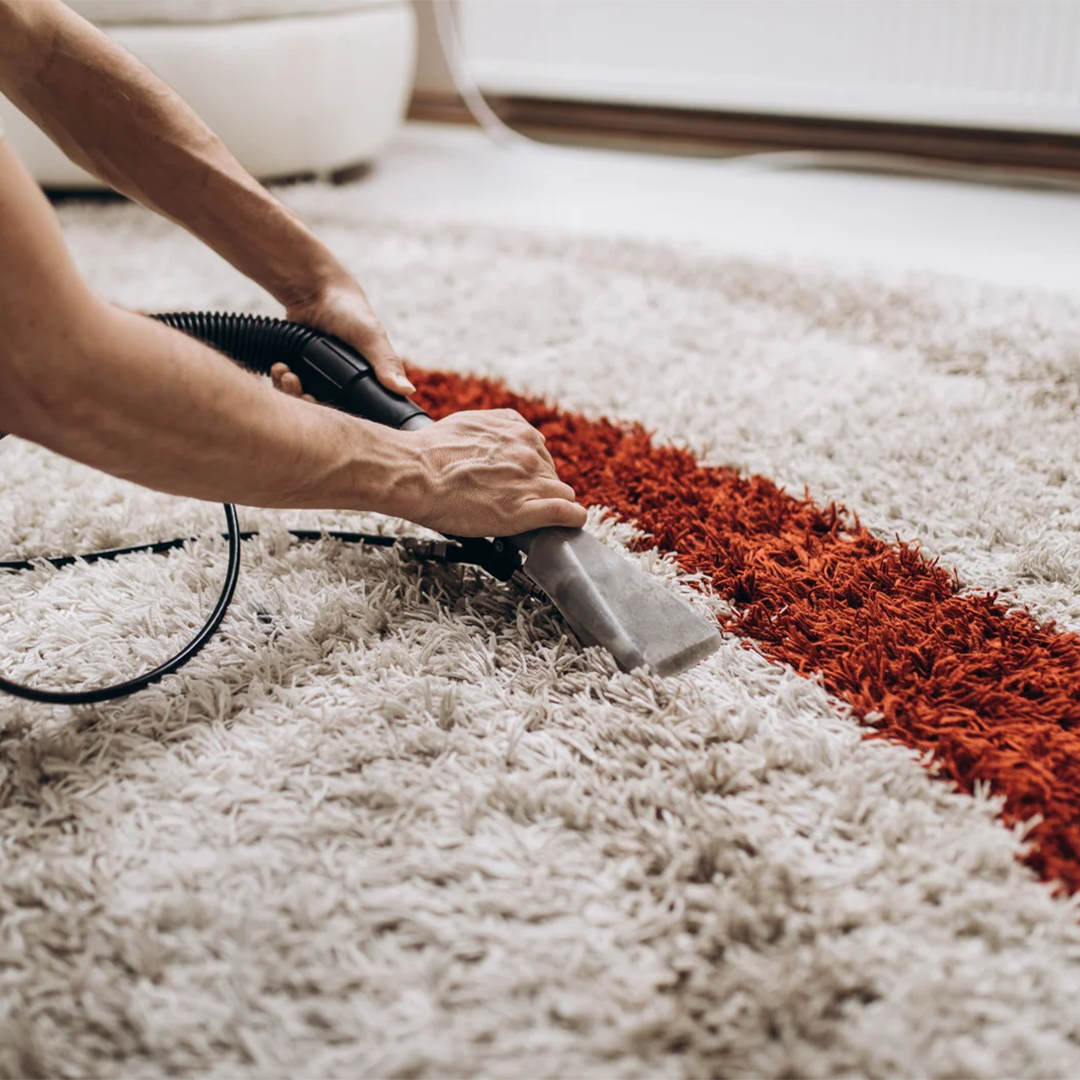 Close-up view of carpet fibers during professional deep cleaning